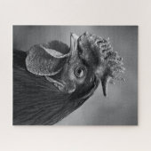Rooster Black en White Legpuzzel (Horizontaal)