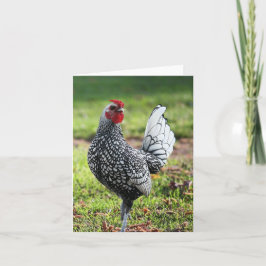 Rooster, blanco Kaart