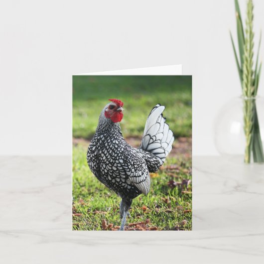 Rooster, blanco Kaart (Voorkant)