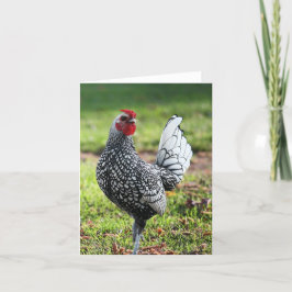 Rooster, blanco Kaart