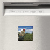 Rooster Bob Ergens daarbuiten Magneet (Insitu (Vaatwasser))