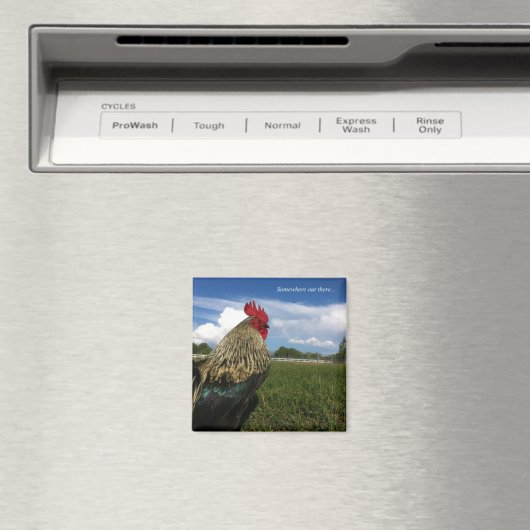 Rooster Bob Ergens daarbuiten Magneet (Insitu (Vaatwasser))