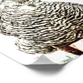 Rooster Boerderij Antiek Wit Textielland Poster (Hoek)