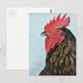 Rooster Briefkaart (Voorkant / Achterkant)
