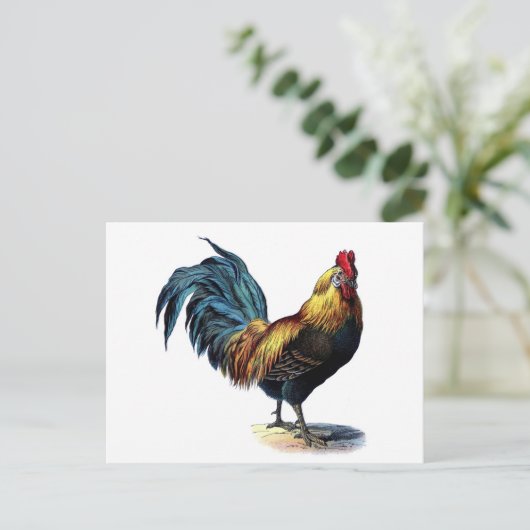  Rooster Briefkaart (Staand voorkant)