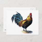  Rooster Briefkaart (Voorkant / Achterkant)