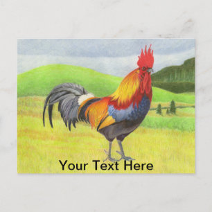 Rooster Briefkaart
