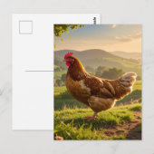Rooster Briefkaart (Voorkant / Achterkant)