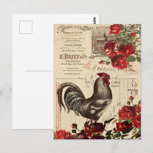 Rooster Briefkaart (Voorkant / Achterkant)