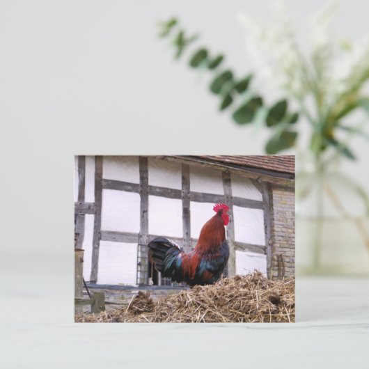 ROOSTER BRIEFKAART (Staand voorkant)