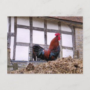 ROOSTER BRIEFKAART