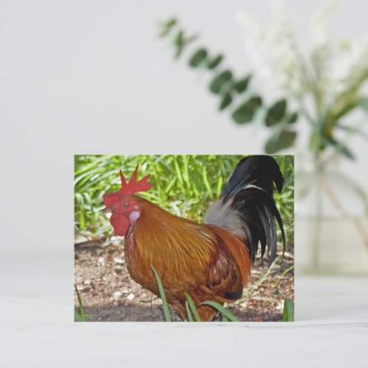 Rooster Briefkaart (Staand voorkant)