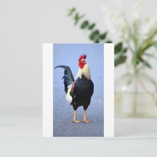 Rooster Briefkaart (Staand voorkant)