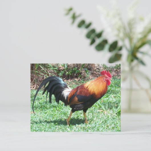 Rooster-Briefkaart Briefkaart (Staand voorkant)