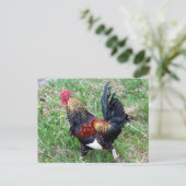 Rooster-Briefkaart uitvoeren Briefkaart (Staand voorkant)
