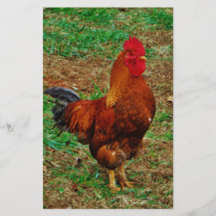 Rooster Briefpapier