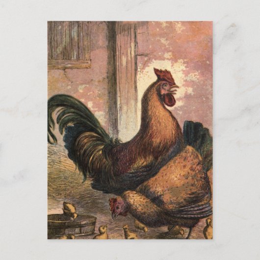 Rooster, bruine hok en Baby kippen op stro Briefkaart (Voorkant)