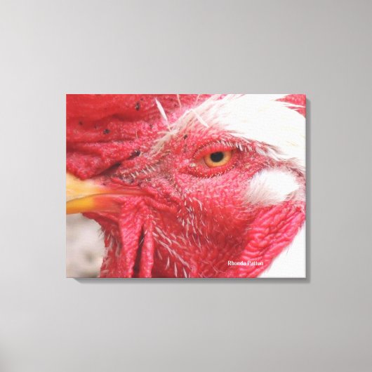 rooster canvas afdruk (Voorkant)