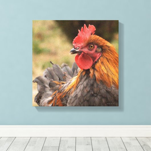 Rooster Canvas Afdruk (Insitu (Houten vloer))