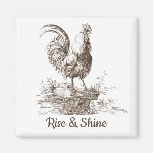 Rooster charming sepia tone illustratie magneet (Voorkant)