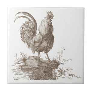 Rooster charming sepia tone illustratie tegeltje