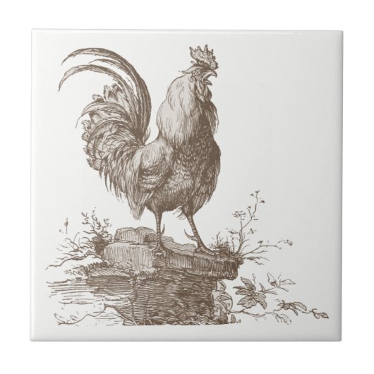 Rooster charming sepia tone illustratie tegeltje (Voorkant)