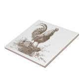 Rooster charming sepia tone illustratie tegeltje (Zijkant)