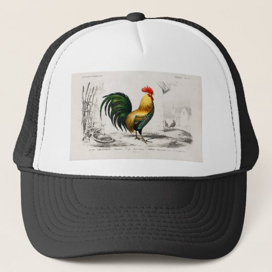 Rooster Chicken Coop Illustration 1800 Trucker Pet (Voorkant)