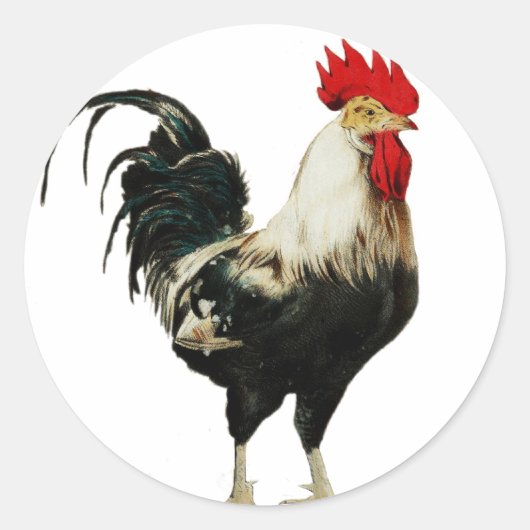  Rooster Chicken Customize Animal Best Ronde Sticker (Voorkant)