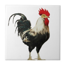 Rooster Chicken Customize Animal Best Tegeltje