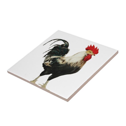  Rooster Chicken Customize Animal Best Tegeltje (Zijkant)