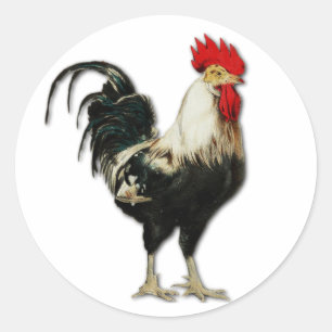 Rooster Chicken Customize Ronde Sticker