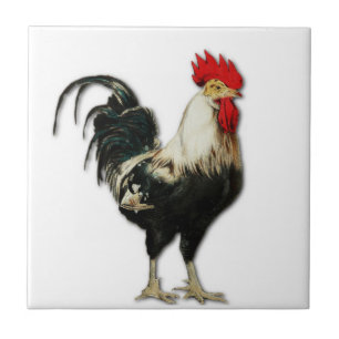 Rooster Chicken Customize Tegeltje