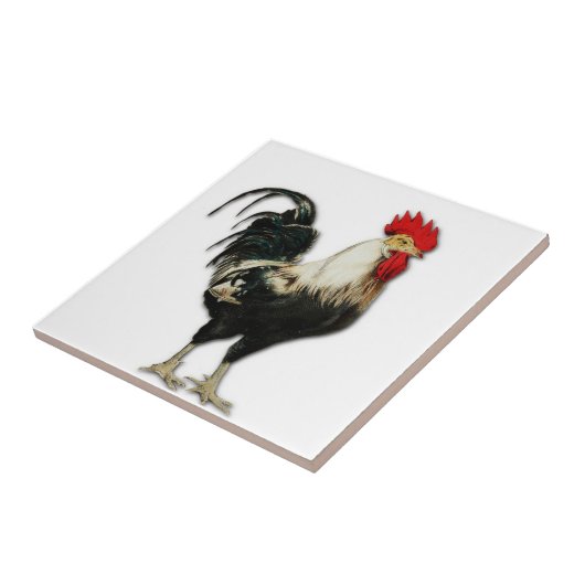 Rooster Chicken Customize Tegeltje (Zijkant)