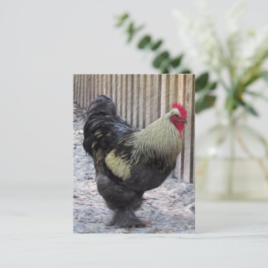 Rooster Chicken Painting Briefkaart (Staand voorkant)
