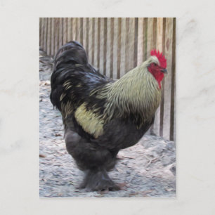 Rooster Chicken Painting Briefkaart