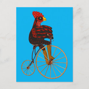Rooster Chicken Riding a  fiets Briefkaart
