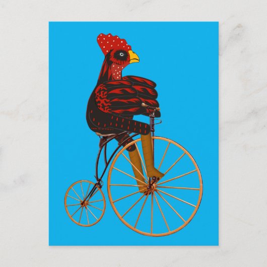 Rooster Chicken Riding a  fiets Briefkaart (Voorkant)