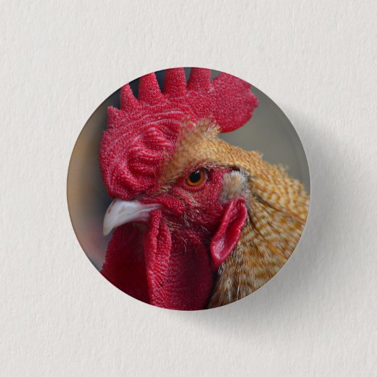 Rooster Chicken Ronde Button 3,2 Cm (Voorkant)