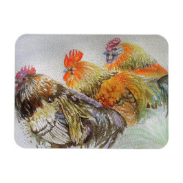 Rooster Chicken Waterverf Art Magnet Magneet