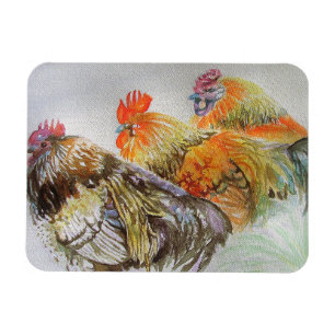 Rooster Chicken Waterverf Art Magnet Magneet