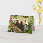 Rooster Chickens Happy Birthday van ons Alle kaart (Gele Bloem)
