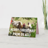 Rooster Chickens Merry Kerstmis van ons All Card Kaart (Voorkant)