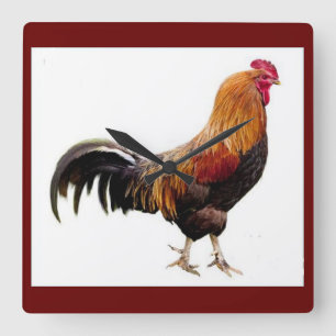 Rooster Clock Vierkante Klok