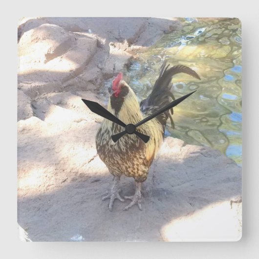 Rooster Clock Vierkante Klok (Voorkant)