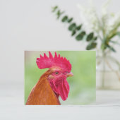 Rooster close-up briefkaart (Staand voorkant)