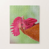 Rooster close-up legpuzzel (Verticaal)