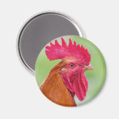 Rooster Close-up Magneet (Voorkant / Achterkant)