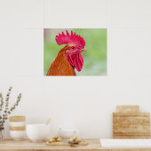 Rooster close-up poster (Keuken)
