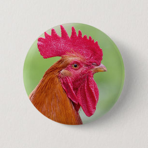Rooster Close-up Ronde Button 5,7 Cm
